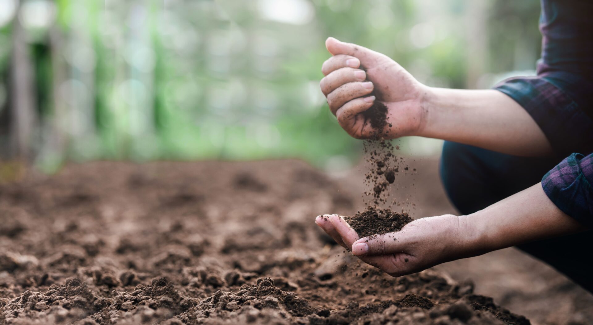 Benefits of Organic Soil